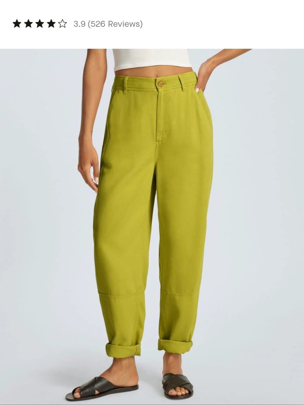 Everlane High-Rise Relaxed Olive Green Chino